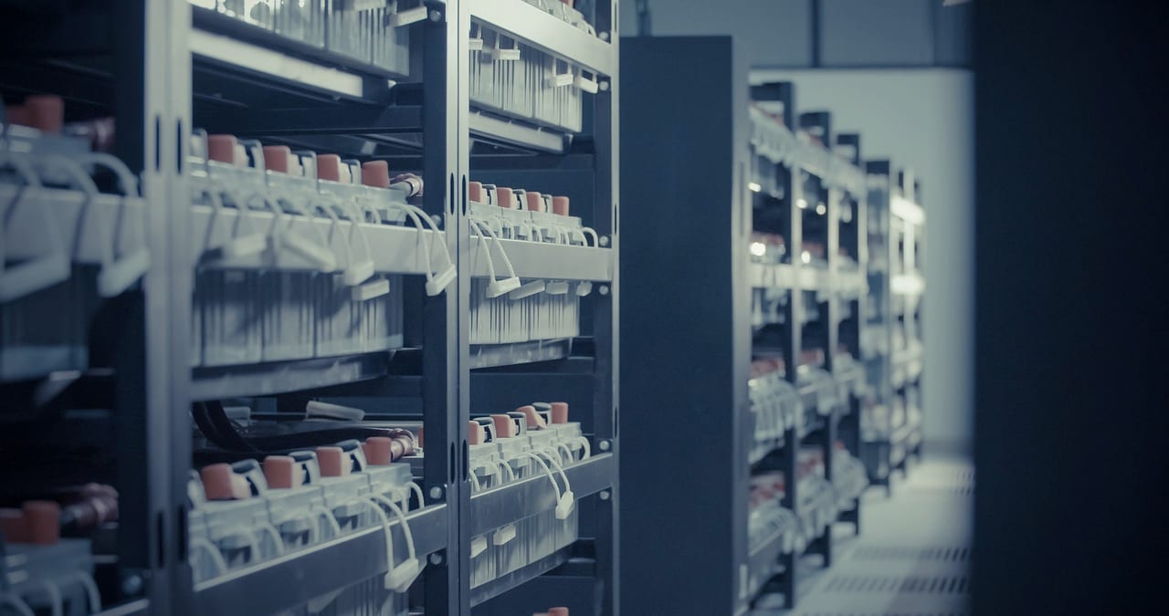 Racks of servers in cool blue light